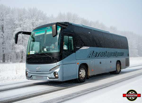 Регулярные рейсы по маршруту Могилев-Москва (Саларьево) 